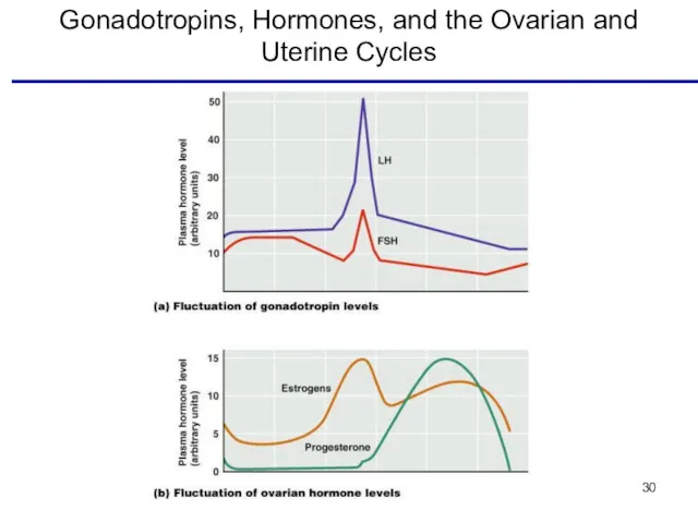 Gonadotropins, Hormones, and the Ovarian and Uterine Cycles