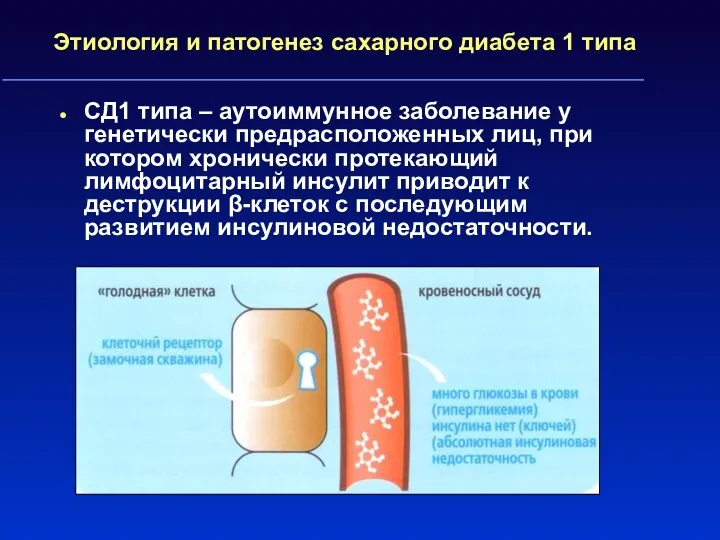 Этиология и патогенез сахарного диабета 1 типа СД1 типа –