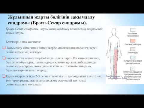 Броун-Секар синдромы- жұлынның көлденең кесіндісінің жартылай зақымдануы. Белгілері-ошақ жағында: Зақымдалу аймағынан төмен жерде-спастикалық