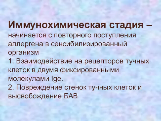 Иммунохимическая стадия – начинается с повторного поступления аллергена в сенсибилизированный