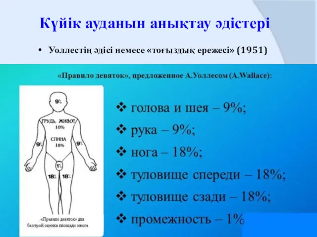 Күйік ауданын анықтау әдістері Уоллестің әдісі немесе «тоғыздық ережесі» (1951)