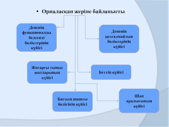 Орналасқан жеріне байланысты Дененің функционалды белсенді бөліктерінің күйігі Шап аралығының күйігі Жоғарғы тыныс