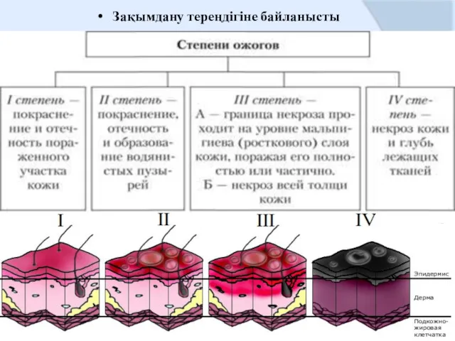 Зақымдану тереңдігіне байланысты