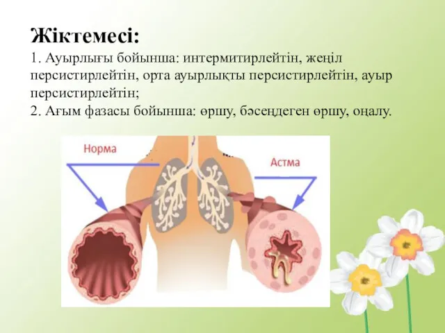 Жіктемесі: 1. Ауырлығы бойынша: интермитирлейтін, жеңіл персистирлейтін, орта ауырлықты персистирлейтін,