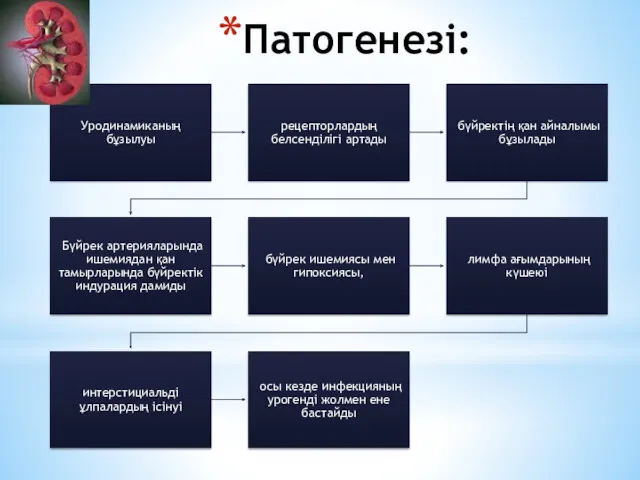 Патогенезі: