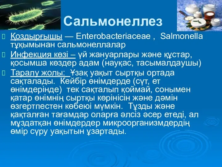 Сальмонеллез Қоздырғышы — Enterobacteriaceae , Salmonella тұқымынан сальмонеллалар Инфекция көзі – үй жануарлары