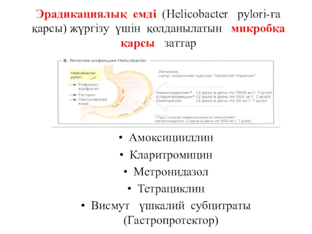 Эрадикациялық емді (Helicobacter pylori-ға қарсы) жүргізу үшін қолданылатын микробқа қарсы