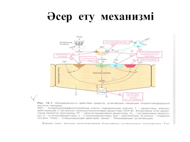 Әсер ету механизмі