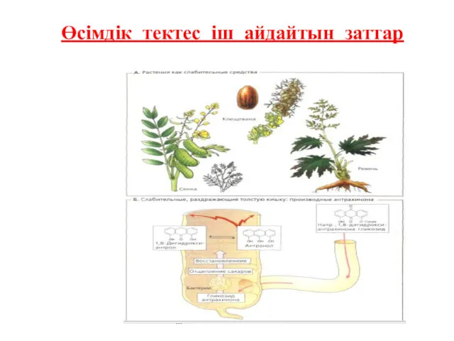 Өсімдік тектес іш айдайтын заттар