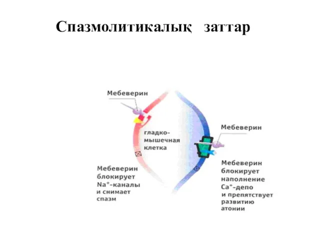 Спазмолитикалық заттар