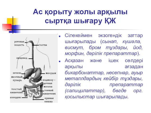 Ас қорыту жолы арқылы сыртқа шығару ҚЖ Сілекеймен экзогендік заттар