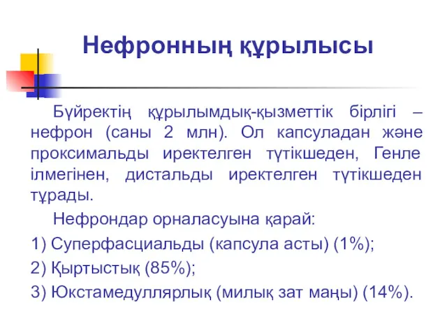 Нефронның құрылысы Бүйректің құрылымдық-қызметтік бірлігі – нефрон (саны 2 млн).