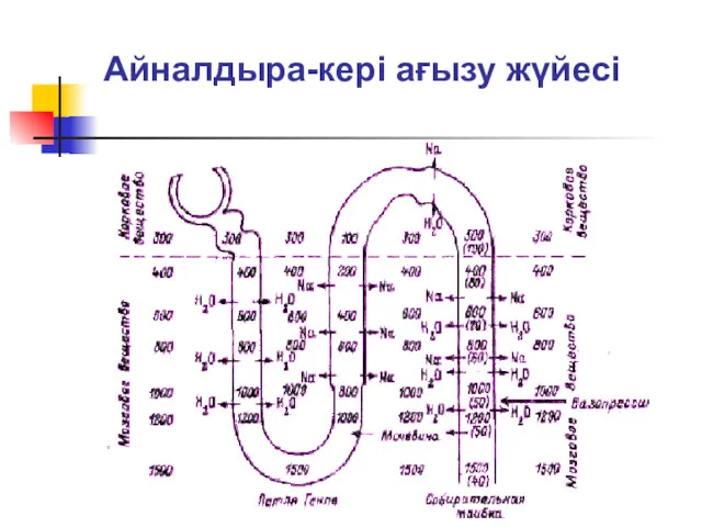 Айналдыра-кері ағызу жүйесі