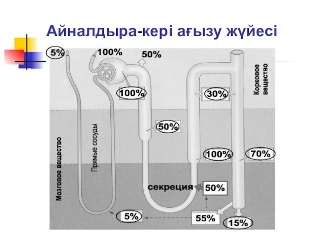 Айналдыра-кері ағызу жүйесі