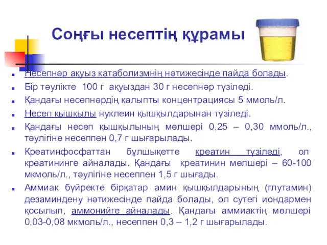 Соңғы несептің құрамы Несепнәр ақуыз катаболизмнің нәтижесінде пайда болады. Бір