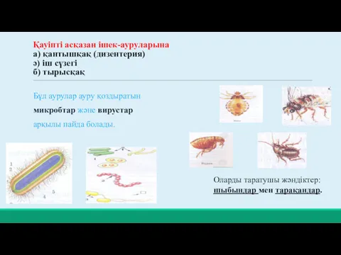 Қауіпті асқазан ішек-ауруларына а) қантышқақ (дизентерия) ә) іш сүзегі б)