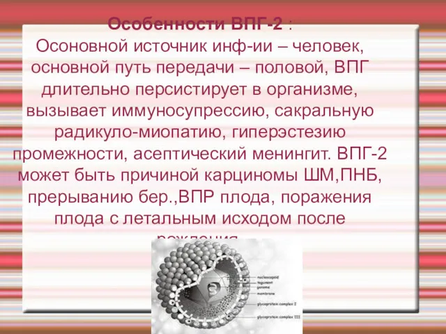 Особенности ВПГ-2 : Осоновной источник инф-ии – человек, основной путь