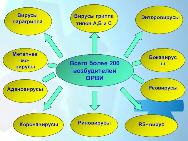 Всего более 200 возбудителей ОРВИ Вирусы парагриппа Аденовирусы Реовирусы Риновирусы
