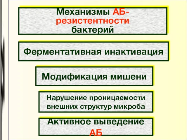 Механизмы АБ-резистентности бактерий Ферментативная инактивация Модификация мишени Нарушение проницаемости внешних структур микроба Активное выведение АБ