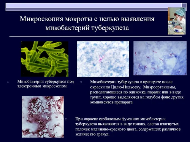 Микроскопия мокроты с целью выявления микобактерий туберкулеза Микобактерии туберкулеза под электронным микроскопом. При