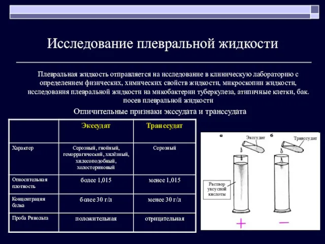 Исследование плевральной жидкости Плевральная жидкость отправляется на исследование в клиническую