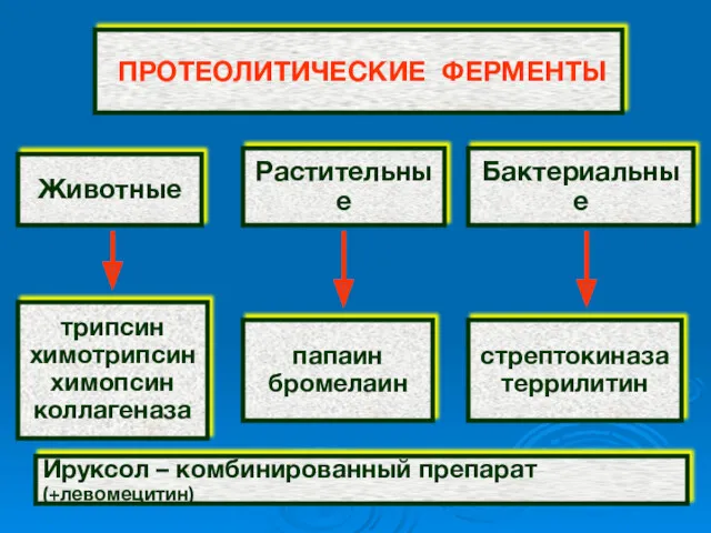 ПРОТЕОЛИТИЧЕСКИЕ ФЕРМЕНТЫ Животные Растительные Бактериальные трипсин химотрипсин химопсин коллагеназа папаин