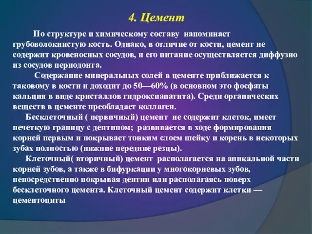 4. Цемент По структуре и химическому составу напоминает грубоволокнистую кость.