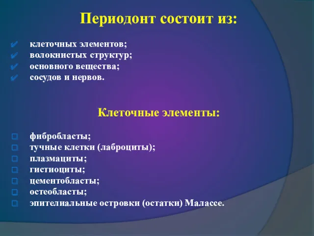 Периодонт состоит из: клеточных элементов; волокнистых структур; основного вещества; сосудов