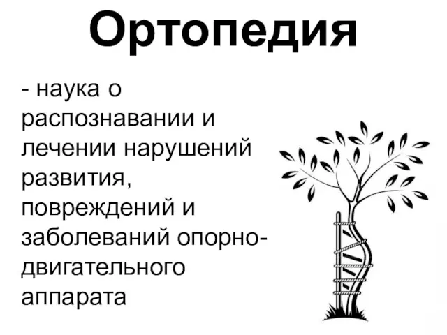 Ортопедия - наука о распознавании и лечении нарушений развития, повреждений и заболеваний опорно-двигательного аппарата