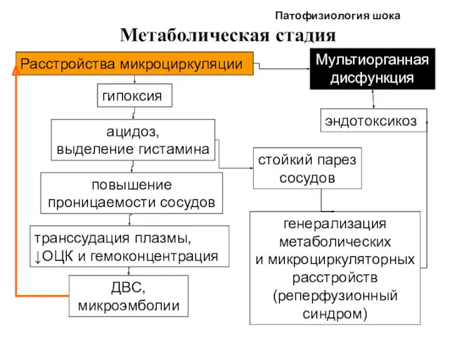 Патофизиология шока Метаболическая стадия Расстройства микроциркуляции гипоксия ацидоз, выделение гистамина