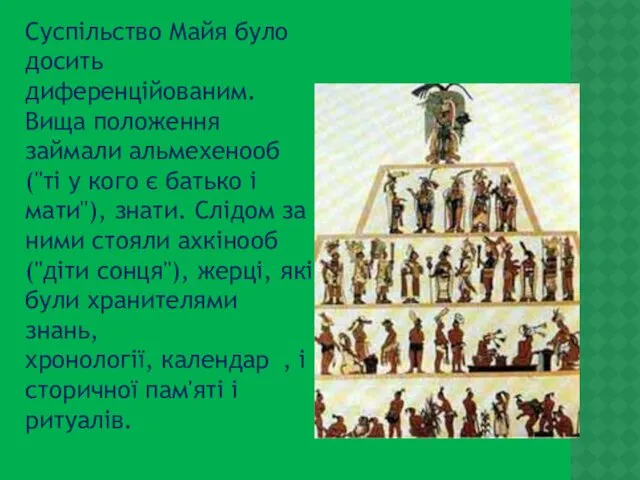 Суспільство Майя було досить диференційованим. Вища положення займали альмехенооб ("ті