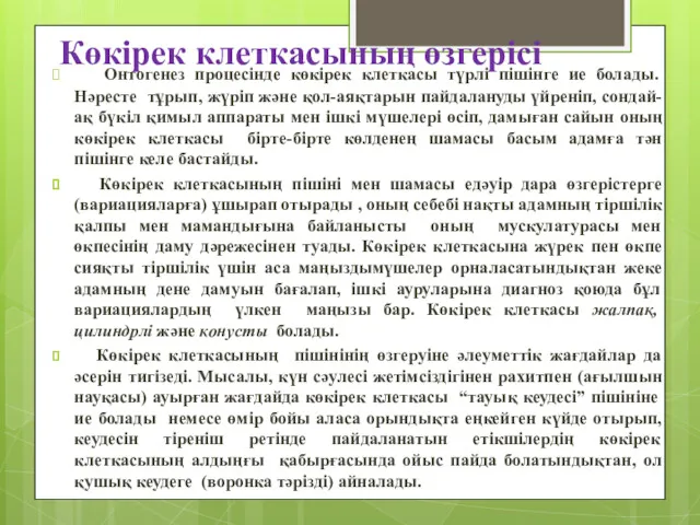 Көкірек клеткасының өзгерісі Онтогенез процесінде көкірек клеткасы түрлі пішінге ие