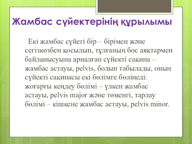 Жамбас сүйектерінің құрылымы Екі жамбас сүйегі бір – бірімен және