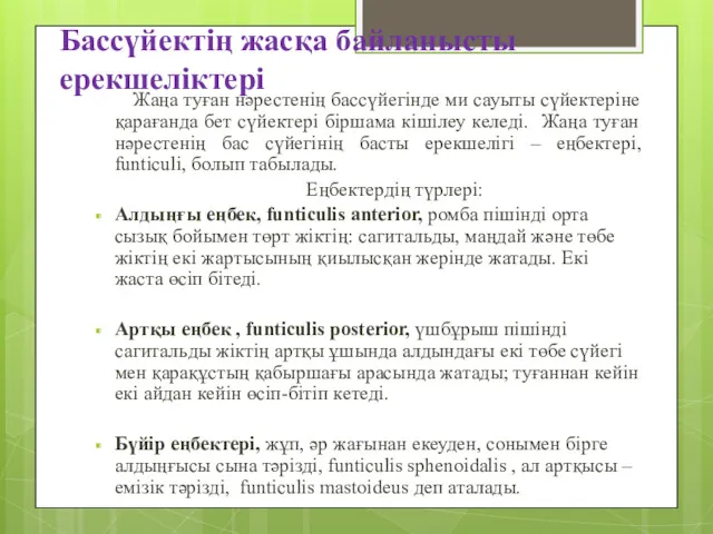 Бассүйектің жасқа байланысты ерекшеліктері Жаңа туған нәрестенің бассүйегінде ми сауыты