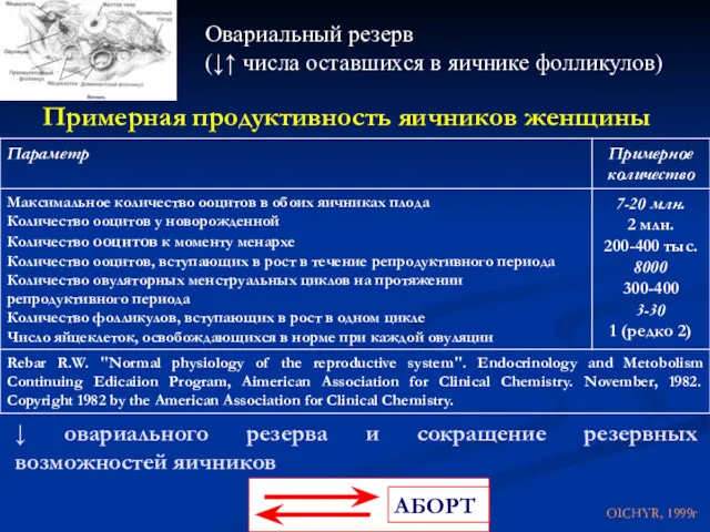 Примерная продуктивность яичников женщины ↓ овариального резерва и сокращение резервных