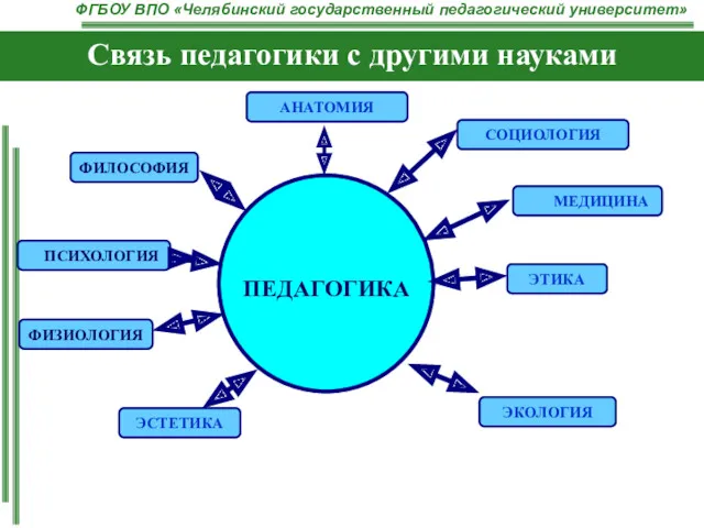 Связь педагогики с другими науками ФИЗИОЛОГИЯ ПСИХОЛОГИЯ ПЕДАГОГИКА СОЦИОЛОГИЯ МЕДИЦИНА ЭТИКА ЭКОЛОГИЯ ЭСТЕТИКА ФИЛОСОФИЯ АНАТОМИЯ