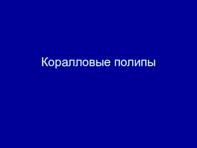 Коралловые полипы