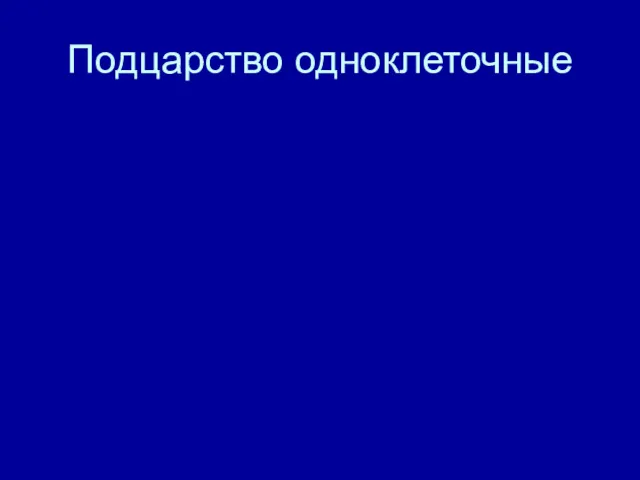 Подцарство одноклеточные