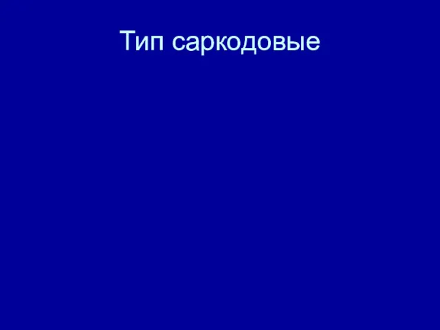 Тип саркодовые