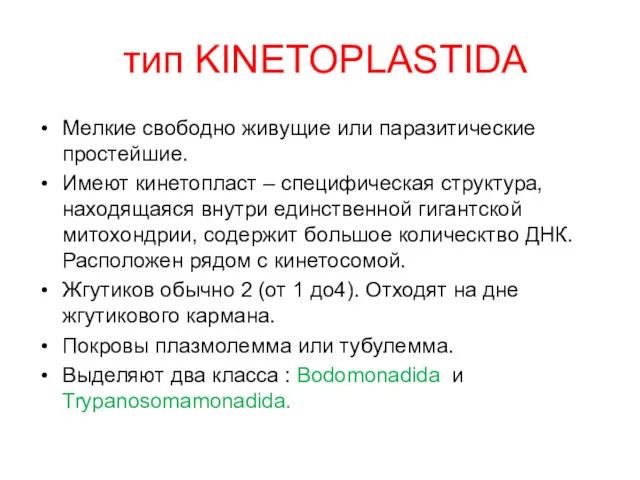 тип KINETOPLASTIDA Мелкие свободно живущие или паразитические простейшие. Имеют кинетопласт