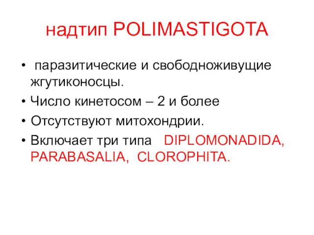 надтип POLIMASTIGOTA паразитические и свободноживущие жгутиконосцы. Число кинетосом – 2