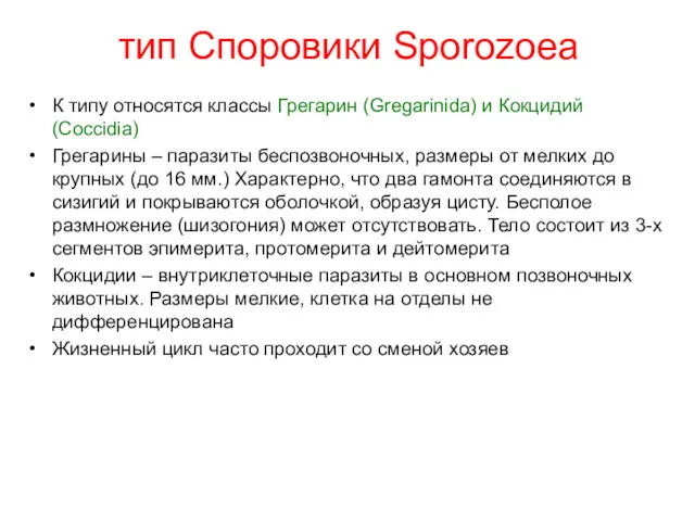 тип Споровики Sporozoea К типу относятся классы Грегарин (Gregarinida) и