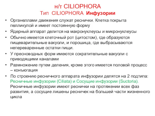 н/т CILIOPHORA Тип CILIOPHORA Инфузории Органеллами движения служат реснички. Клетка