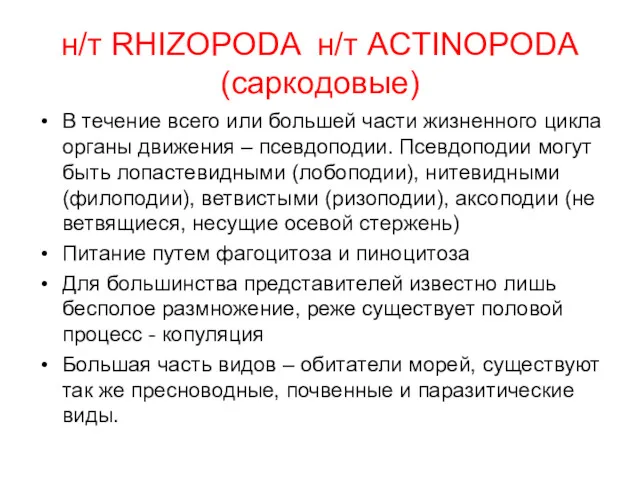 н/т RHIZOPODA н/т ACTINOPODA (саркодовые) В течение всего или большей