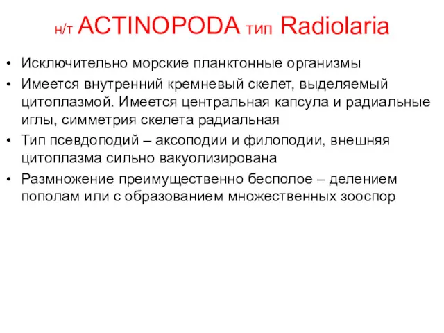 н/т ACTINOPODA тип Radiolaria Исключительно морские планктонные организмы Имеется внутренний