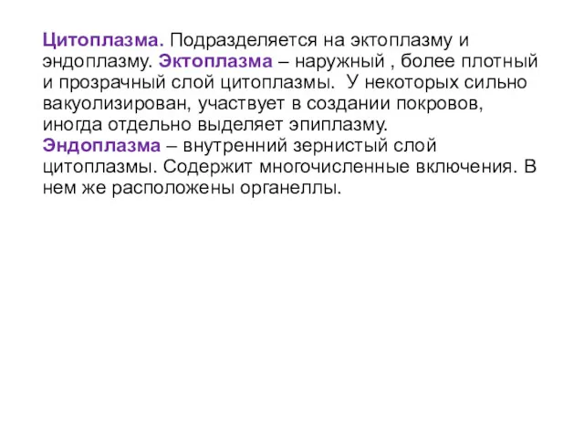 Цитоплазма. Подразделяется на эктоплазму и эндоплазму. Эктоплазма – наружный ,