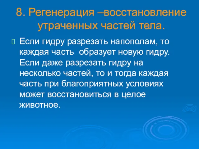 8. Регенерация –восстановление утраченных частей тела. Если гидру разрезать напополам,