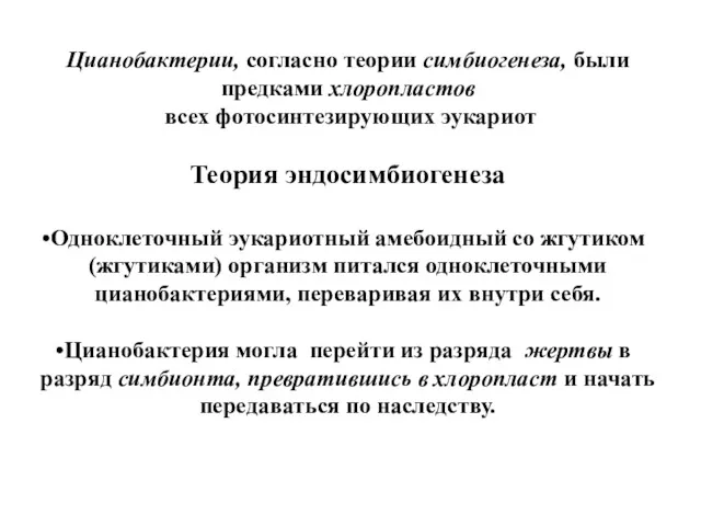 Цианобактерии, согласно теории симбиогенеза, были предками хлоропластов всех фотосинтезирующих эукариот