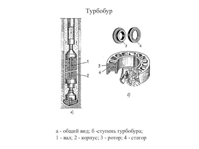 а - общий вид; б -ступень турбобура; 1 - вал;