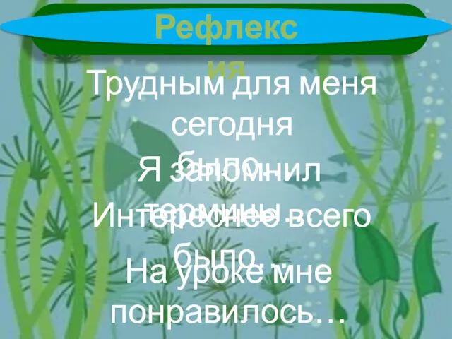 Рефлексия Трудным для меня сегодня было… Я запомнил термины… Интереснее всего было… На уроке мне понравилось…